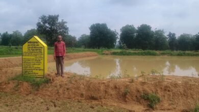 वनवासी रामप्यारे के सूखे खेतों में आई हरियाली, डबरी से मिली सिंचाई की सुविधा 