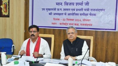 अंतिम ग्राम पंचायत तक पहुंचे वाई-फाई की सुविधा: डॉ. रमन