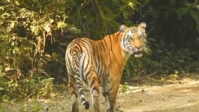 वन्यजीव आवासों के संपूर्ण विकास का 100 दिन का लक्ष्य हासिल वन्यजीव आवासों के संपूर्ण विकास का 100 दिन का लक्ष्य हासिल