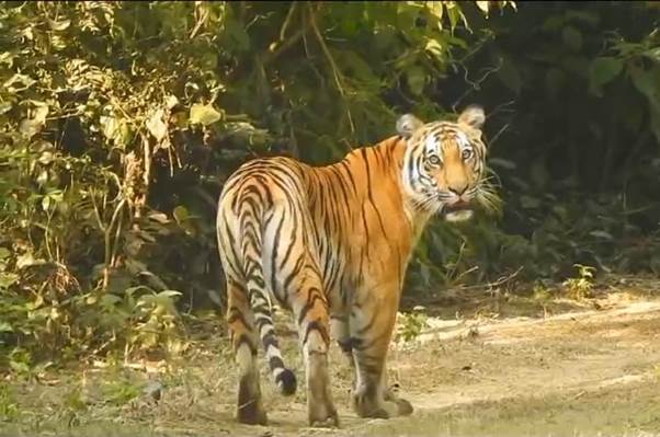 वन्यजीव आवासों के संपूर्ण विकास का 100 दिन का लक्ष्य हासिल