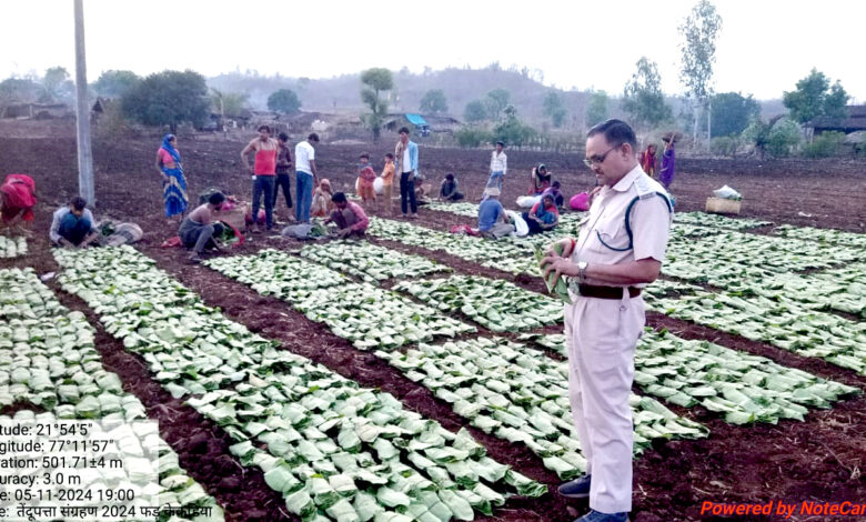 पश्चिम पूर्वी निमाड़ के वनों से वर्ष में 150 करोड़ की आय पश्चिम पूर्वी निमाड़ के वनों से वर्ष में 150 करोड़ की आय
