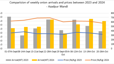 840 मीट्रिक टन प्याज लेकर दूसरी ट्रेन दिल्ली पहुंची