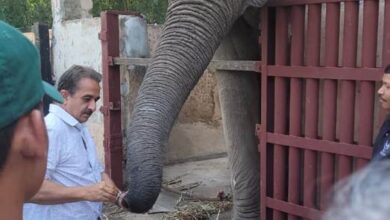केंद्रीय राज्यमंत्री कीर्तिवर्धन सिंह पहुँचे चिड़ियाघर, अफ्रीकी हाथी ‘शंकर’ के बाड़े का किया निरीक्षण