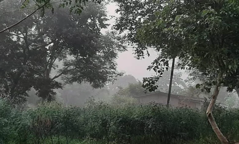 सर्दी ने दी दस्तक, हल्का कोहरा भी आने लगा नजर, अच्छी लगेगी अब सुबह की धूप