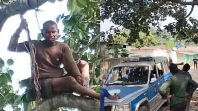 बुजुर्ग चढ़ा पेड़ पर आत्महत्या करने, समझाइश के बाद उतरा