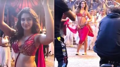 भेड़िया के 2 साल पूरे होने का मनाया जश्न