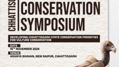 गिद्ध संरक्षण पर रायपुर में कार्यशाला का होगा आयोजन