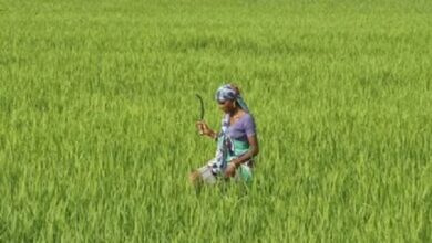 मध्यप्रदेश को प्राकृतिक खेती में अग्रणी बनाने उत्पादों की करें ब्रांडिंग मध्यप्रदेश को प्राकृतिक खेती में अग्रणी बनाने उत्पादों की करें ब्रांडिंग