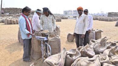 छत्तीसगढ़ में 8.95 लाख मीट्रिक टन धान की हुई खरीदी