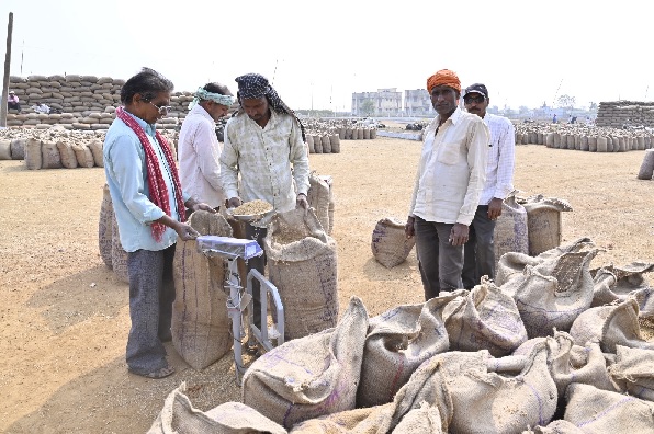 छत्तीसगढ़ में 8.95 लाख मीट्रिक टन धान की हुई खरीदी