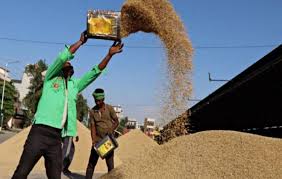 तीन दिन की धान खरीदी में आकड़ा 3 लाख टन के पार