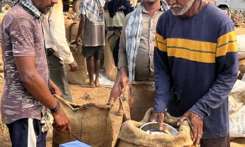 छत्तीसगढ़ में 32.29 लाख मीट्रिक टन धान की हुई खरीदी