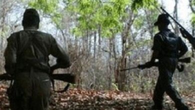 बीजापुर-सुकमा बॉर्डर पर पुलिस और नक्सलियों में मुठभेड़