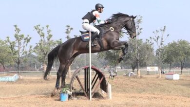 राज्य घुड़सवारी अकादमी के राजू सिंह का शानदार प्रदर्शन, एशियन चैंपियनशिप के लिए किया क्वालीफाई