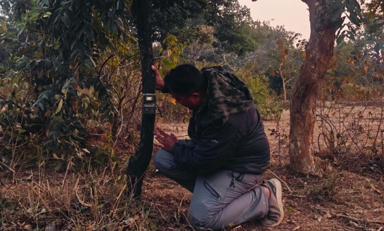 बाँधवगढ़ टाइगर रिजर्व में बाघ, तेंदुआ और सहभक्षी वन्य-प्राणियों की गणना