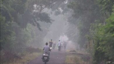 दो दिन बाद छत्तीसगढ़ में गिरेगा पारा, फिर अपना रंग दिखाएगी ठंड