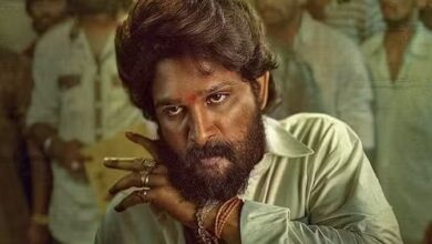 क्लाइमैक्स सीन को अल्लू ने मात्र 32 दिन में किया शूट