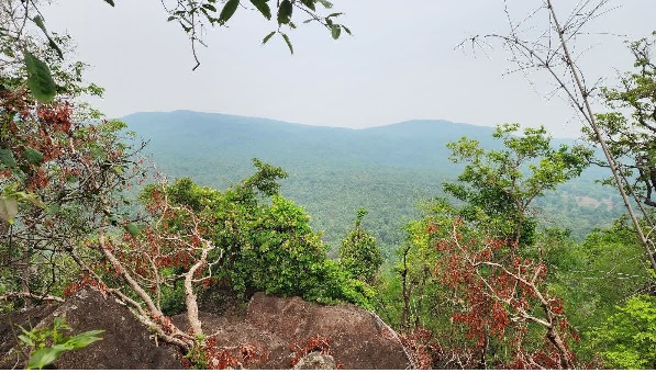 छत्तीसगढ़ राज्य तैयार कर रहा है ईको-रेस्टोरेशन पॉलिसी, देश का बनेगा दूसरा राज्य छत्तीसगढ़ छत्तीसगढ़ राज्य तैयार कर रहा है ईको-रेस्टोरेशन पॉलिसी, देश का बनेगा दूसरा राज्य छत्तीसगढ़