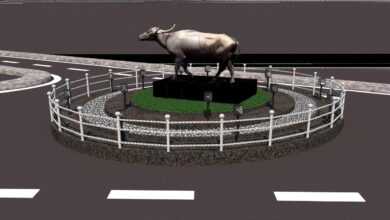 ऑक्सीजोन चौक में वन भैसा और लाखेनगर चौक में मोर की विशाल प्रतिकृति रहेगी आकर्षण का केन्द्र