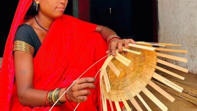 नारी शक्ति का हुआ सम्मान महतारी वंदन ने बढ़ाया मान नारी शक्ति का हुआ सम्मान महतारी वंदन ने बढ़ाया मान