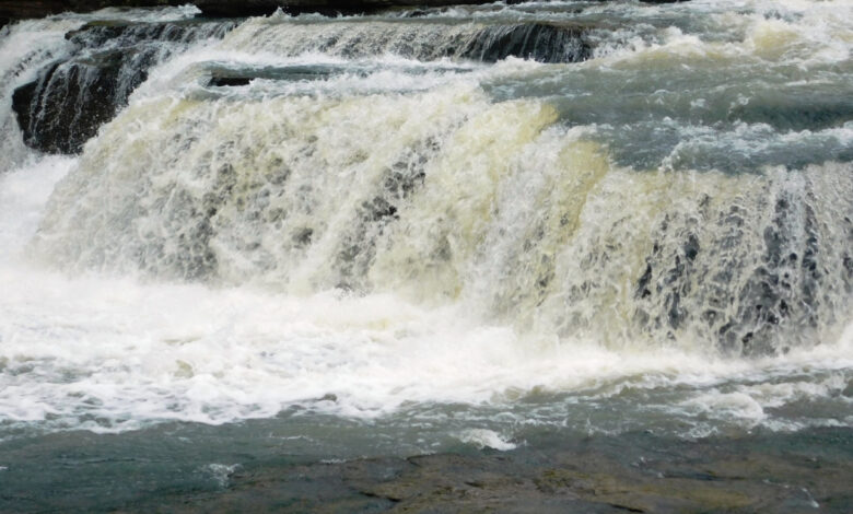 मन को तरोताजा कर देगी हरी-भरी वादियों में बहने वाली नरहरा जलप्रपात