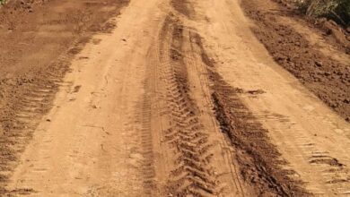 पहली बार : मैनपुर के दुर्गम वनांचल डुमरपड़ाव से जागड़ा तक पक्की सड़क का निर्माण