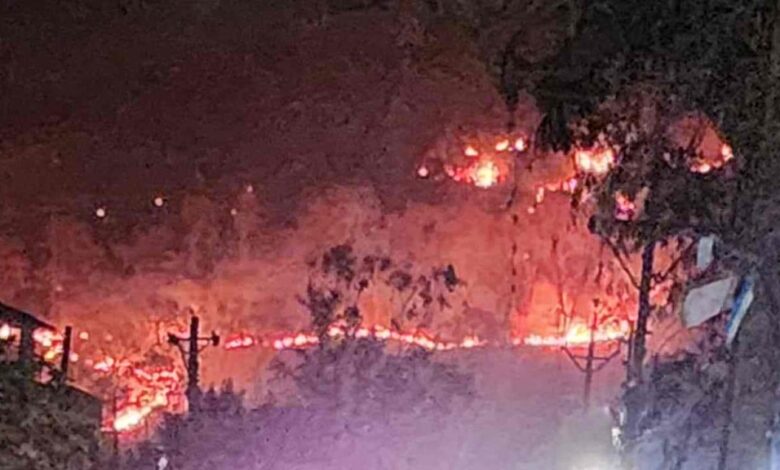 रायगढ़ में पहाड़ों में लगी आग, अफरा-तफरी मची