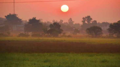 धीरे-धीरे बढ़ने लगा पारा, दिन और रात के तापमान में बढ़ोतरी