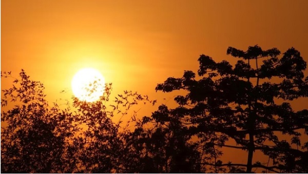 गर्मी का अहसास : रायपुर समेत प्रदेश में अब गर्मी लगने लगी, चुभने लगेगी धूप