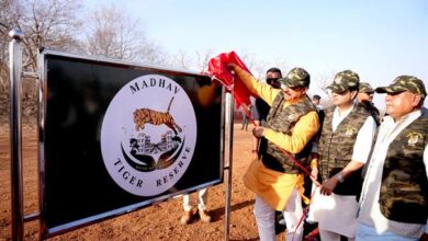 प्रदेश में वन्य जीव पर्यटन से होगी रोजगार में वृद्धि : मुख्यमंत्री डॉ. यादव