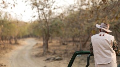 प्रधानमंत्री मोदी गिर में सफारी पर पहुंचे, कुछ फोटोग्राफी करने की कोशिश की