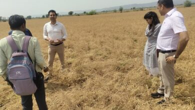 कलेक्टर ने फसल बीमा कंपनियों से समन्वय स्थापित कर प्रभावितों को मदद पहुंचाने के दिये निर्देश