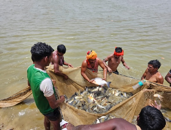 मछली पालकर दिनेश कमा रहे है सालाना 9 लाख रुपये की आमदनी