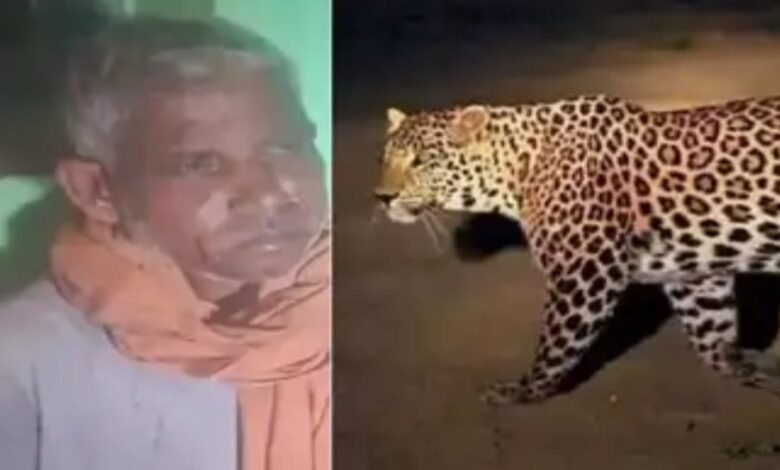 खेत की रखवाली कर रहे बुजुर्ग पर तेंदुए का हमला, बहादुरी से किया मुकाबला खेत की रखवाली कर रहे बुजुर्ग पर तेंदुए का हमला, बहादुरी से किया मुकाबला