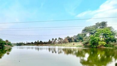 प्रधानमंत्री मोदी 31 मई को क्षिप्रा नदी पर 778 करोड़ के घाट निर्माण कार्यों का भोपाल से करेंगे वर्चुअल भूमि-पूजन