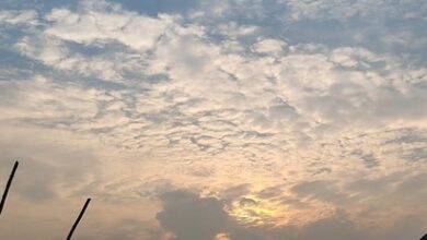 इस जिले से सीजी में प्रवेश किया मानसून, गरज-चमक के साथ हल्की मध्यम वर्षा