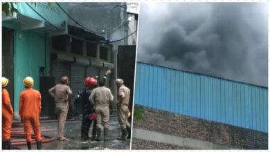 प्लास्टिक फैक्टरी में लगी आग, 4 शव बरामद प्लास्टिक फैक्टरी में लगी आग, 4 शव बरामद