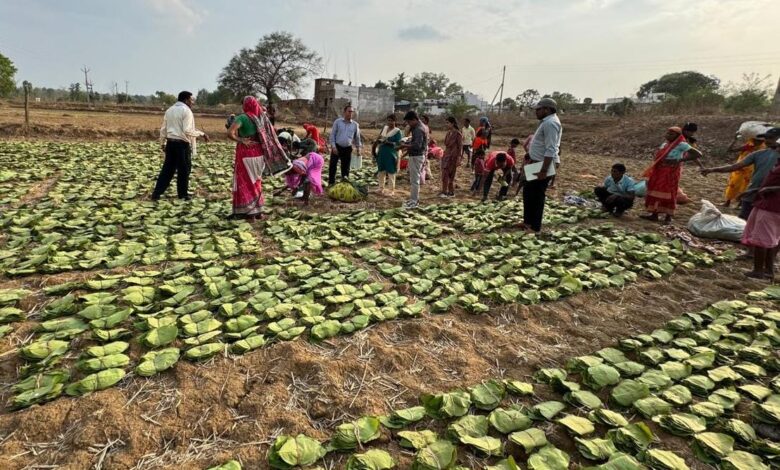 सीएम साय करेंगे चरण पादुका योजना शुरू, तेंदूपत्ता संग्राहक परिवारों को वितरित होगी चरण पादुका