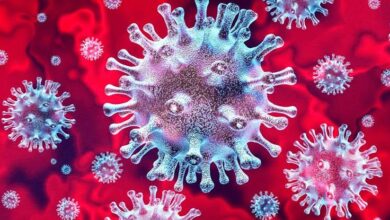 नया वैरिएंट फिर खतरनाक : पिछले 24 घंटे में 250 से ज्यादा नए मामले