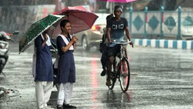 मौसम ने बदली करवट : दक्षिण क्षेत्रों में पहुंचा मानसून, कुछ स्थानों पर हल्की वर्षा दर्ज