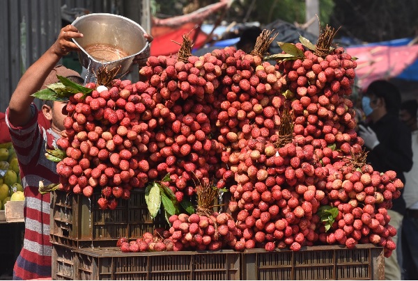 क़तर के लिए पठानकोट से गुलाब की खुशबू वाली लीची की पहली खेप रवाना