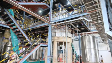 हर्बल और आयुर्वेदिक उत्पादों का प्रमुख केंद्र बनेगा छत्तीसगढ़ हर्बल और आयुर्वेदिक उत्पादों का प्रमुख केंद्र बनेगा छत्तीसगढ़