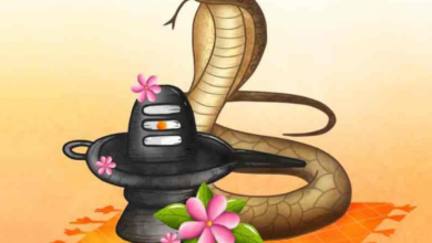 कब और कैसे शुरु हुई नाग देवता की पूजा, जानें कब और कैसे शुरु हुई नाग देवता की पूजा, जानें