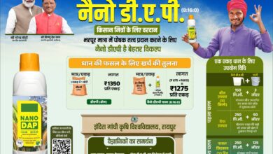 नैनो डीएपी किसानों के लिए ठोस डीएपी उर्वरक का स्मार्ट विकल्प