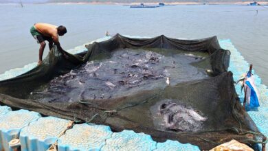 छत्तीसगढ़ में फिशरीज के नये युग की शुरूआत