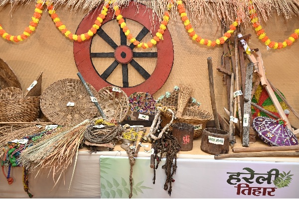 मुख्यमंत्री निवास में हरेली उत्सव: छत्तीसगढ़ी परंपराओं की झलक, पारंपरिक कृषि यंत्रों के साथ बिखरी सांस्कृतिक छटा